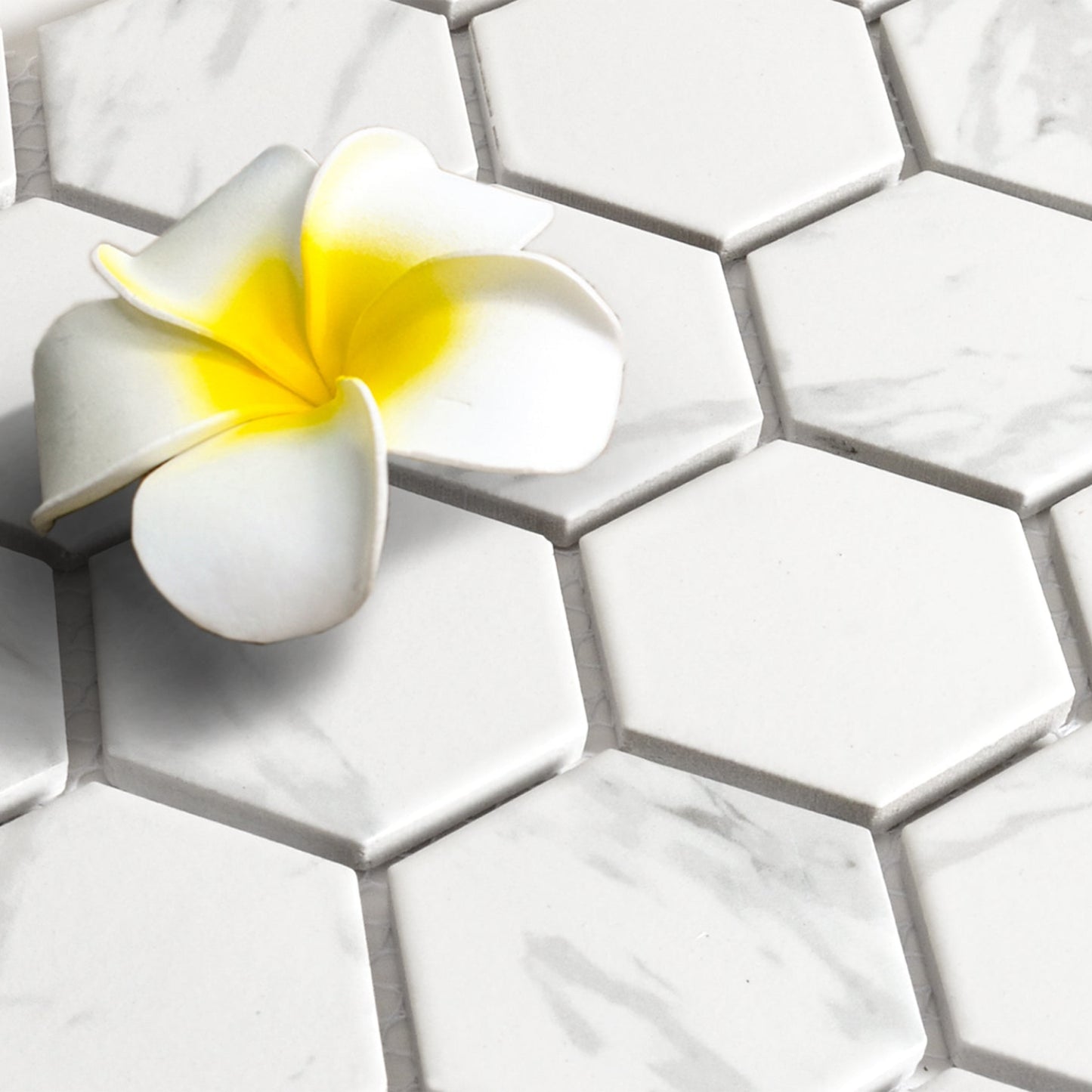2" Hexagon Tile in Matte Carrara